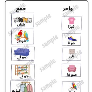 urdu worksheet: match the singular with the plural (wahid ki jamma milaeyeh) – free printable